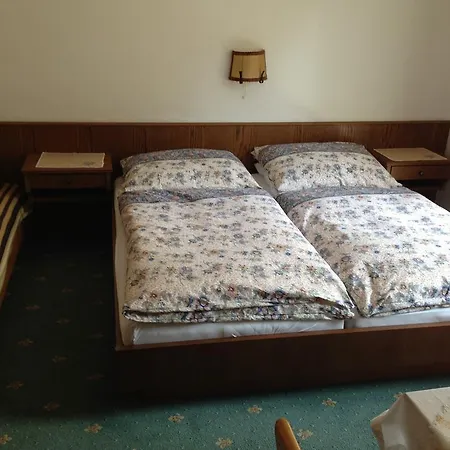 Guest house Haus Tenk